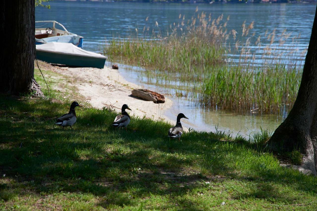 Emy Lake Orta Pella Εξωτερικό φωτογραφία